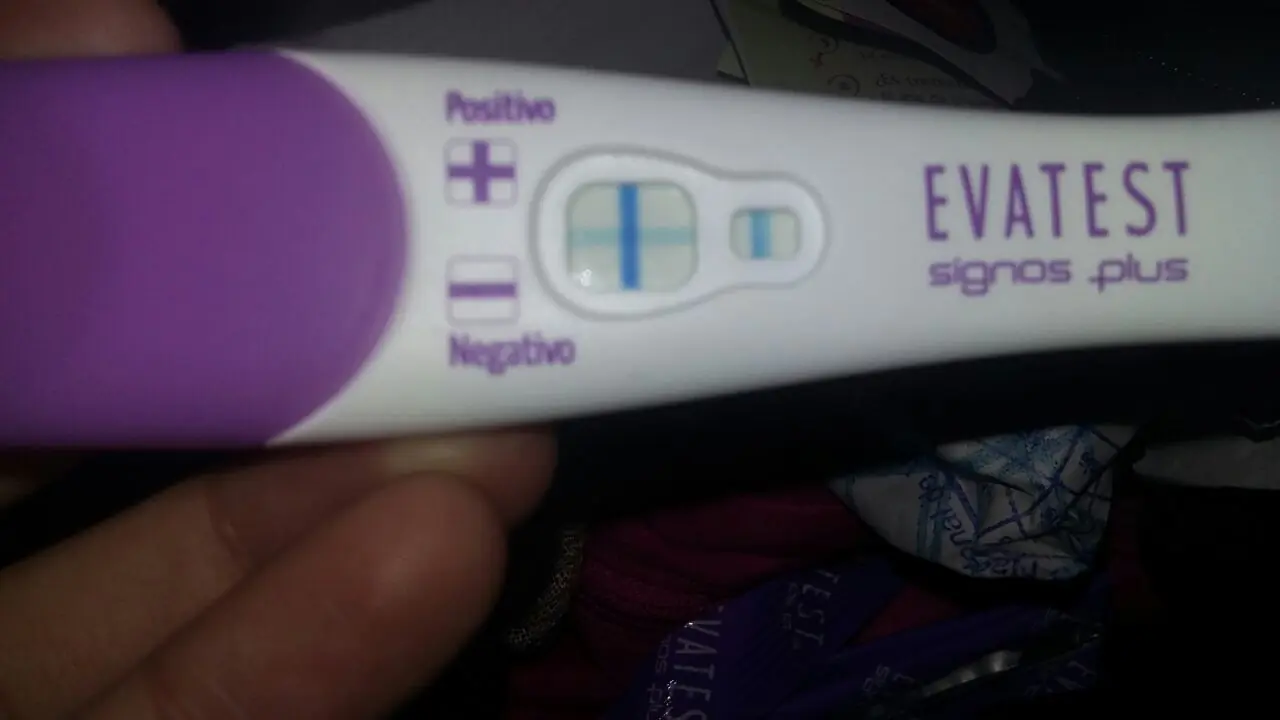 bebe bebe