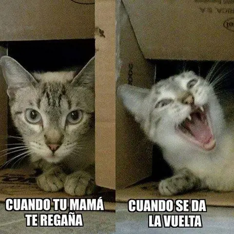 imagenes
