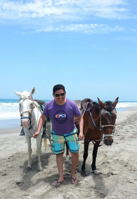 ballenas