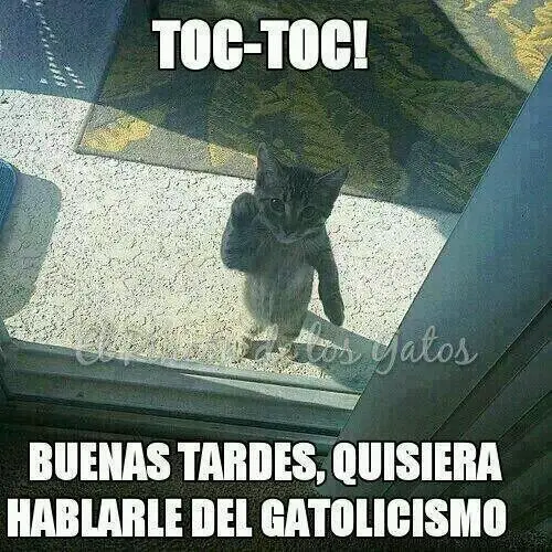 humor