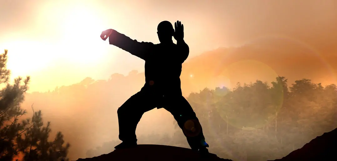 tai chi chuan tai chi chuan