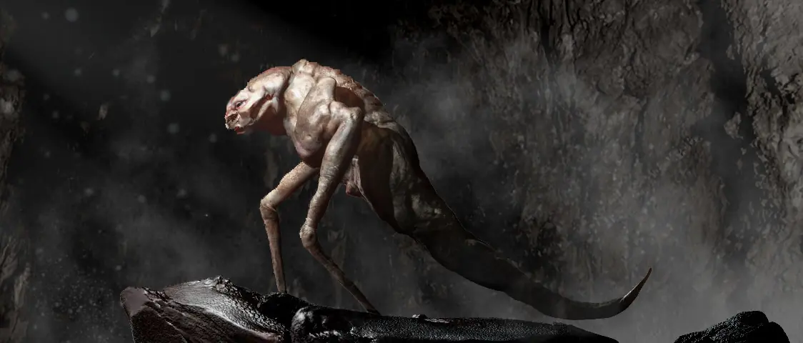 Algunos trabajos 2d y 3d