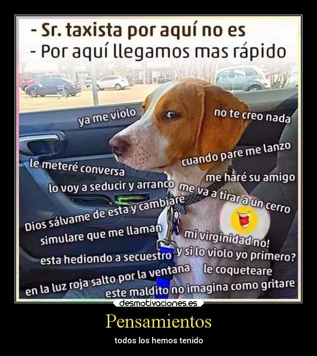 divertido