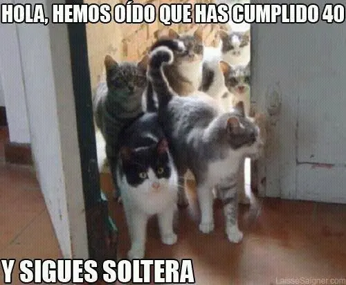 Chiste