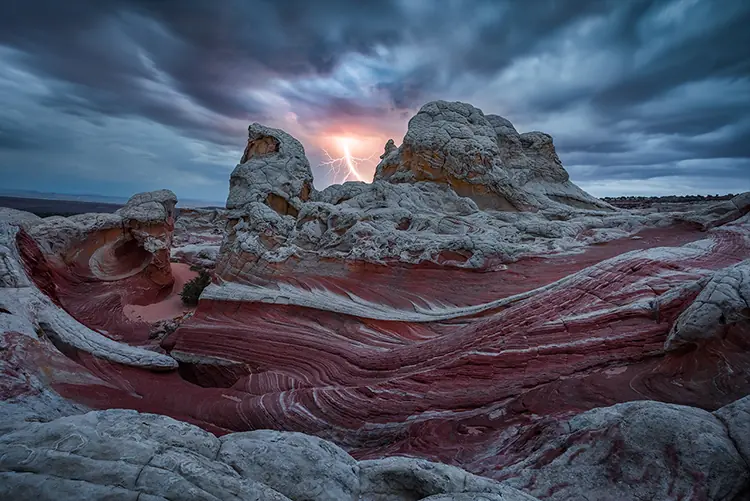 Sorprendentes fotografías del mundo natural