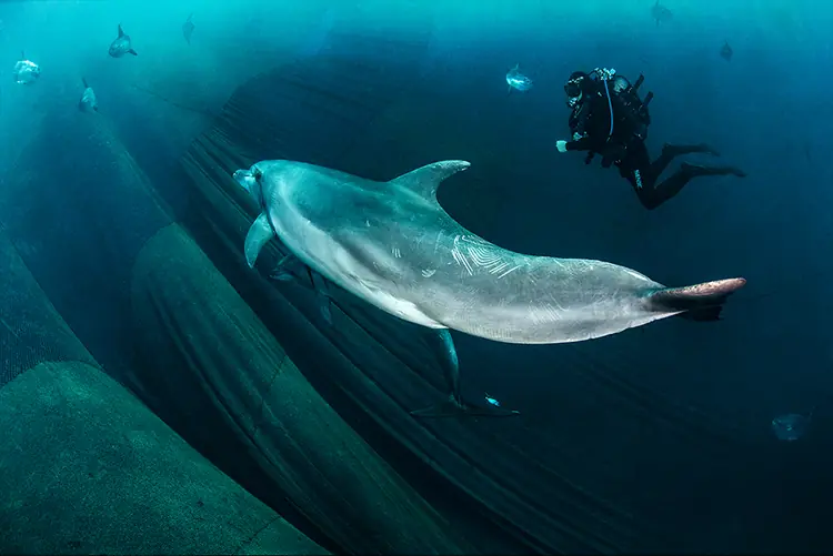 Sorprendentes fotografías del mundo natural