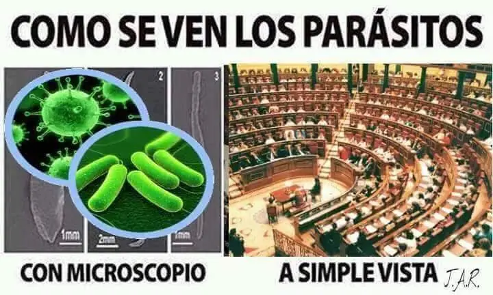 imagenes