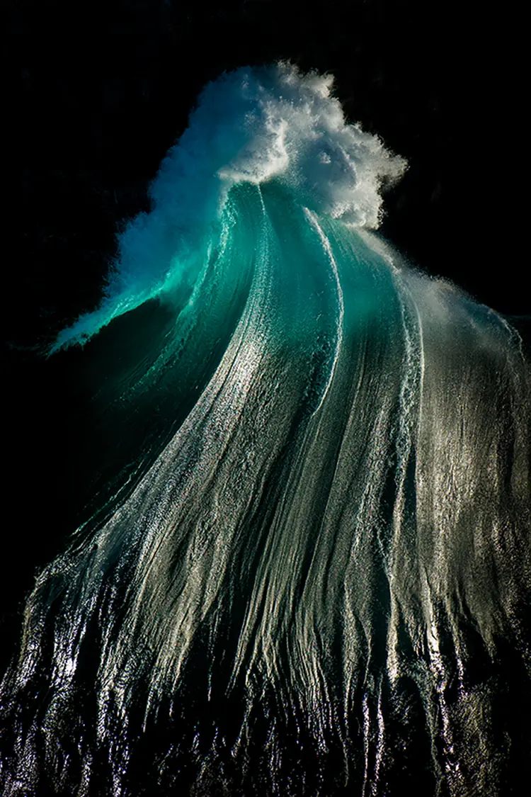 Sorprendentes fotografías del mundo natural