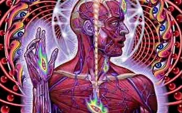 enigma