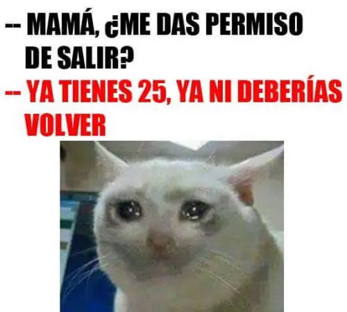 conestas