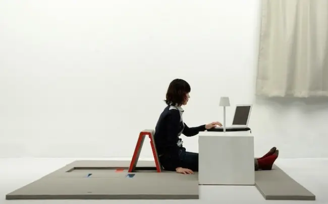 solo existen en Japon