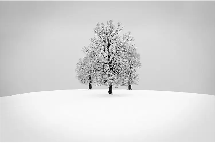 naturaleza