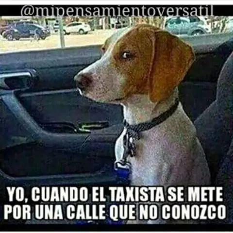 Despide este sábado con el mejor humor se que reiras +5
