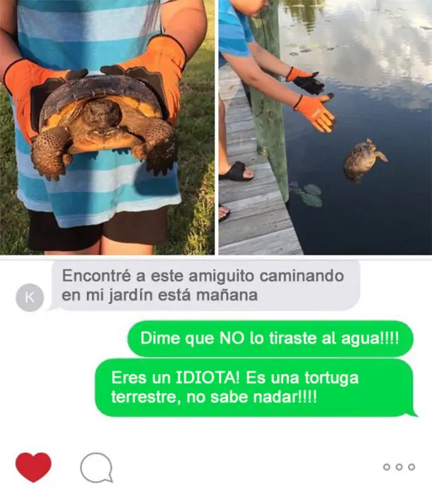 sorprenderan