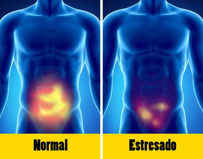 8 Señales que tu cuerpo te está exigiendo descanso inmedia