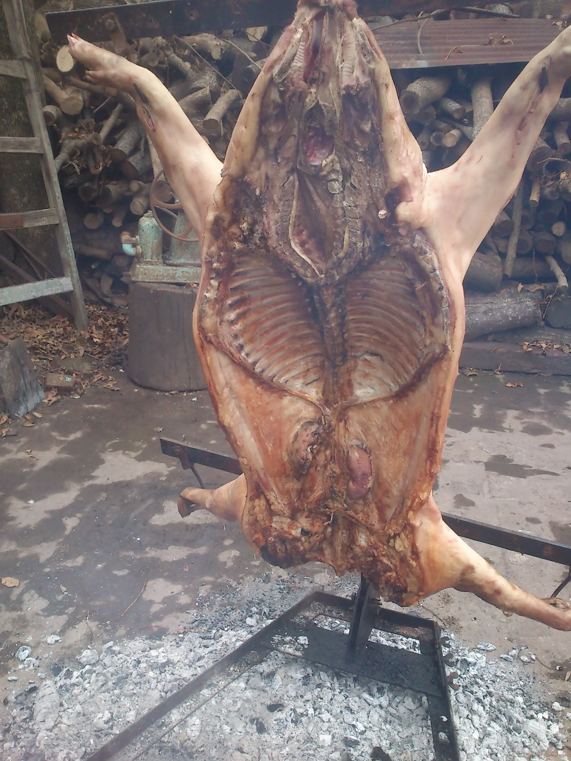 lechon