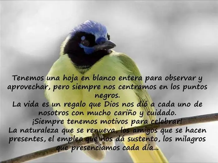 afirmaciones