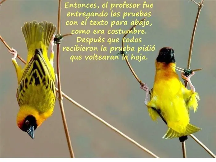 afirmaciones