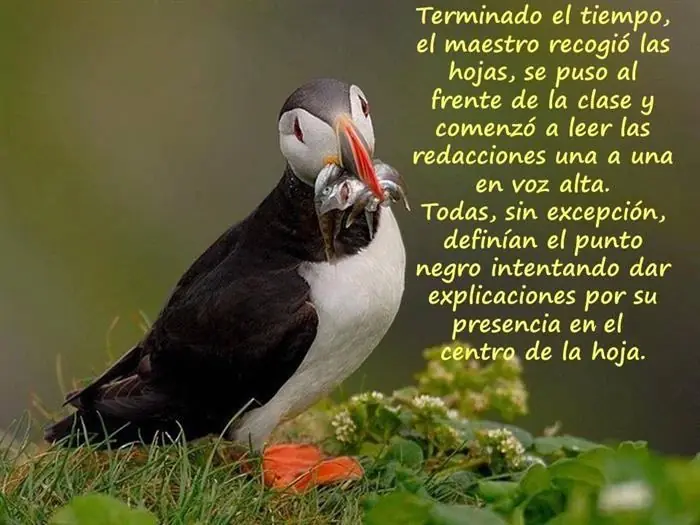 afirmaciones