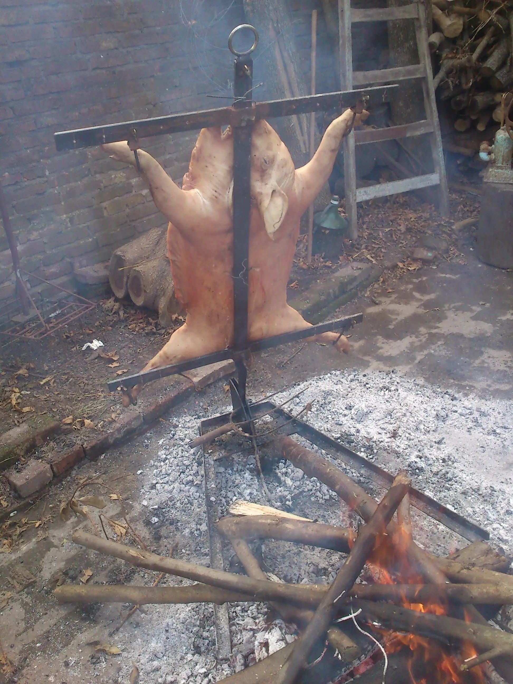 lechon