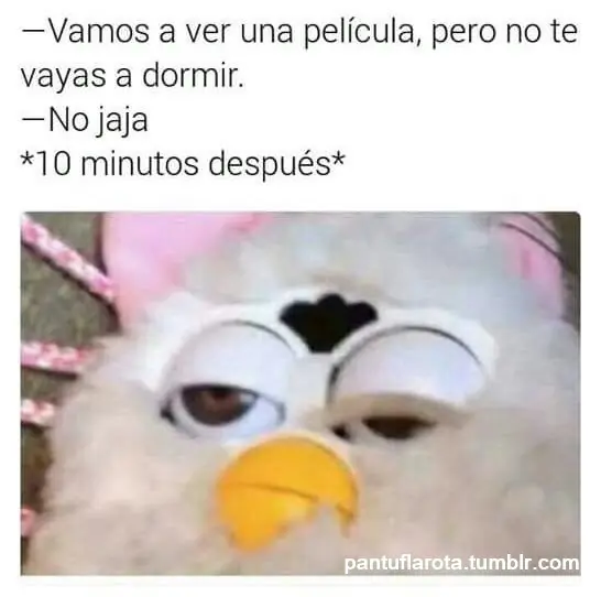 Te deseo una feliz noche llena con este divertido humor +6