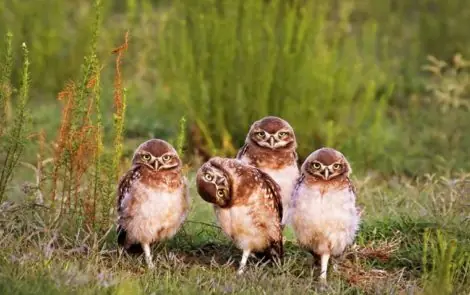 naturaleza