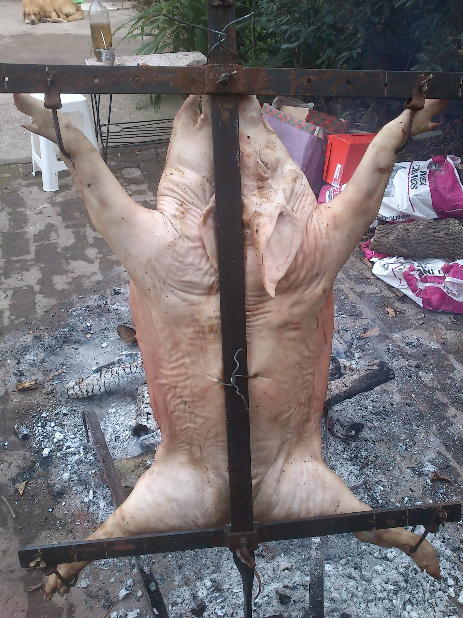 tradicion