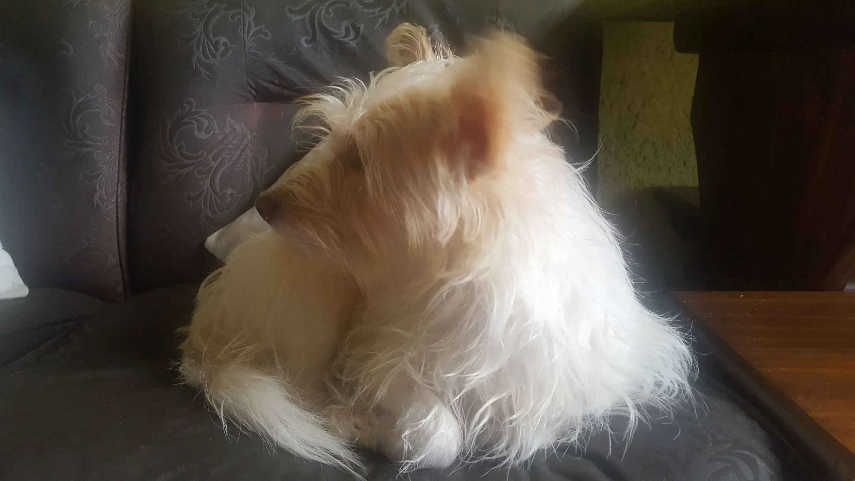 RESCETA