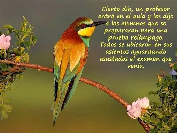 vida
