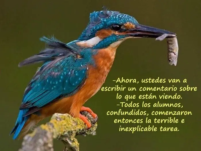 vida