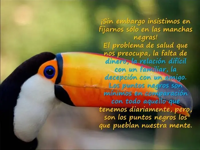 positivas