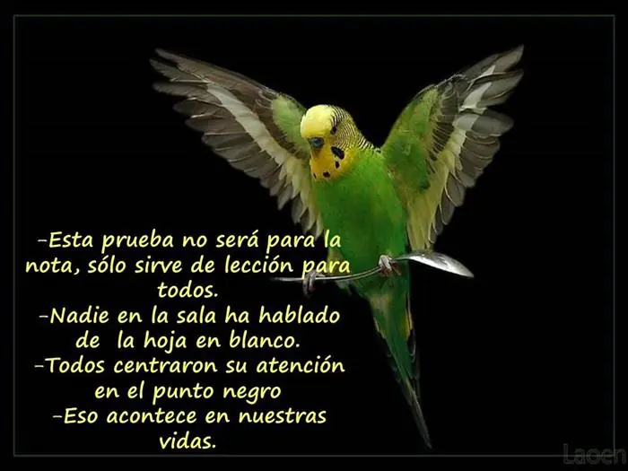 vida