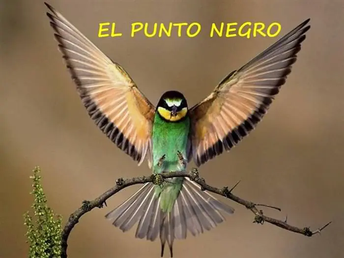 positivas