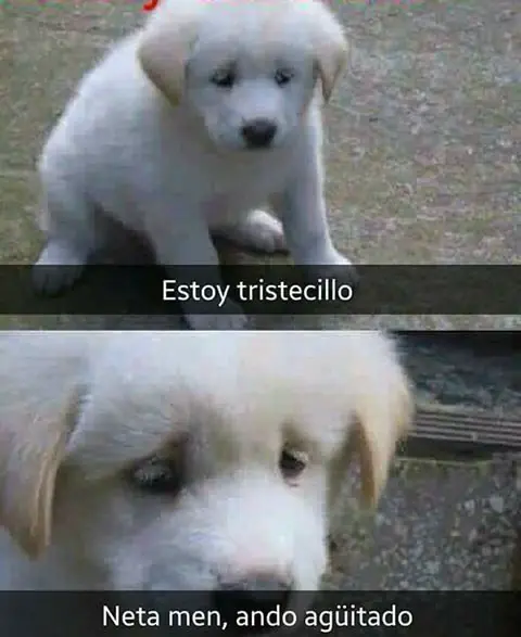 Lo mejor del humor mexicano parte 148