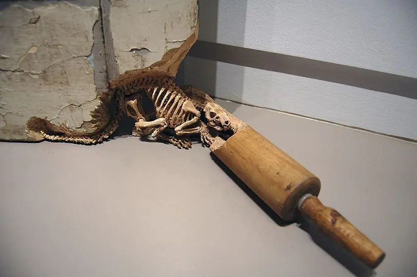 caballo madera