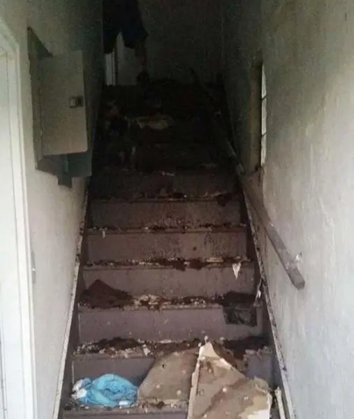 Entraron a una casa abandonada y mira lo que encontraron