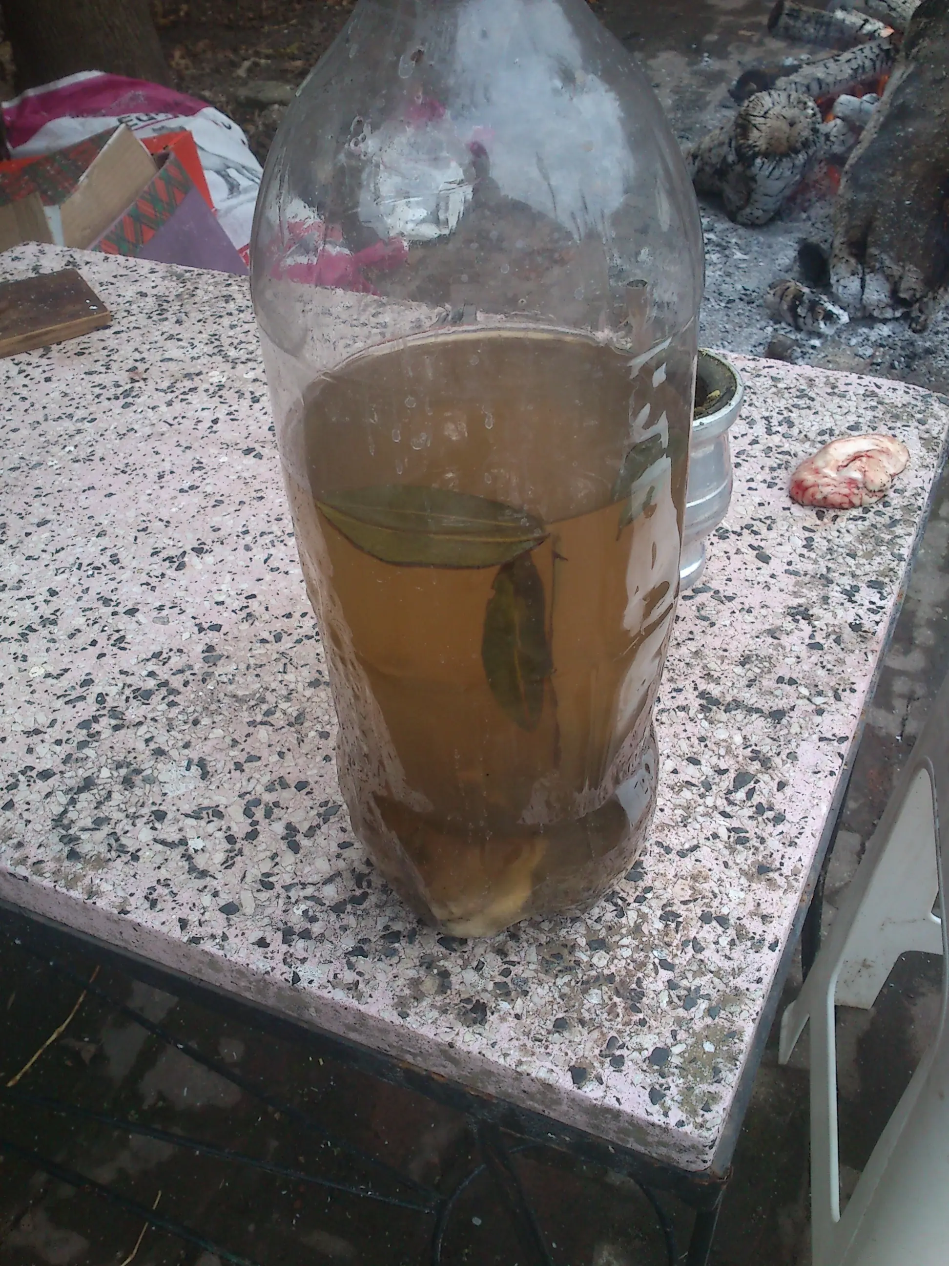 Receta de Lechón al asador