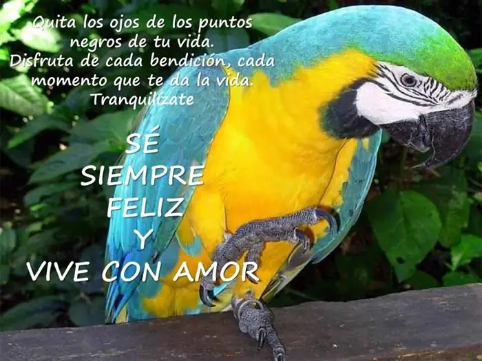 vida