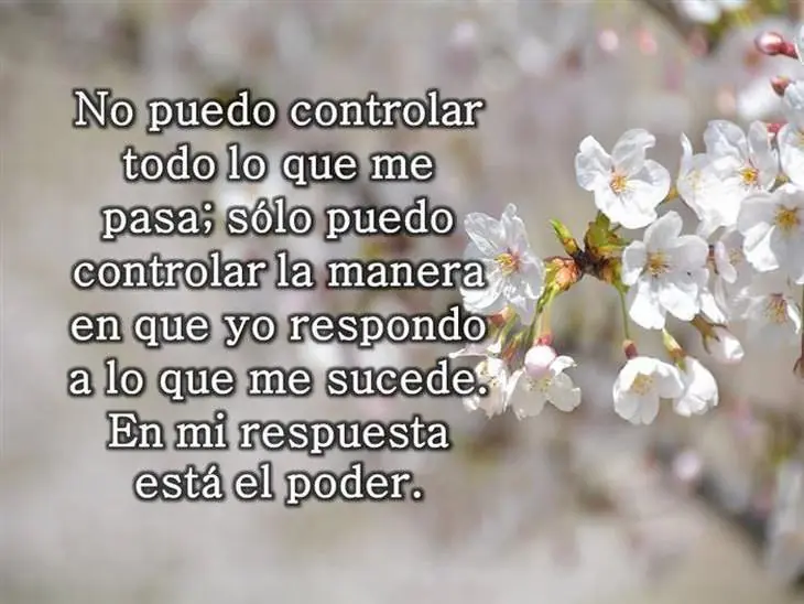 reflexionar