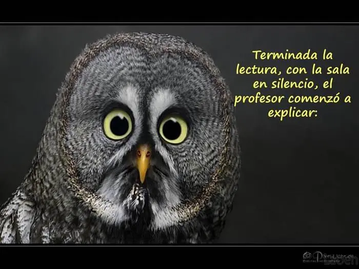 positivas