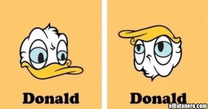 Humor