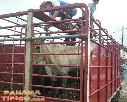 Queres apodos para tus amigos? tomaaa!! Queres apodos para tus amigos? tomaaa!!