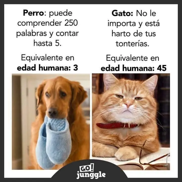 Humor para que te rías un rato.