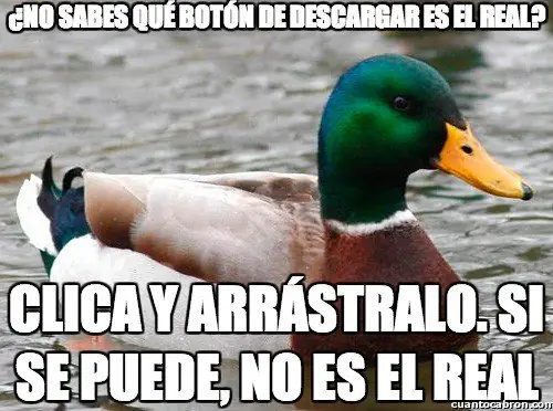 consejo