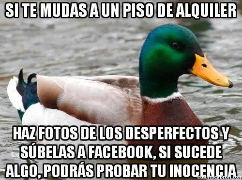 humor