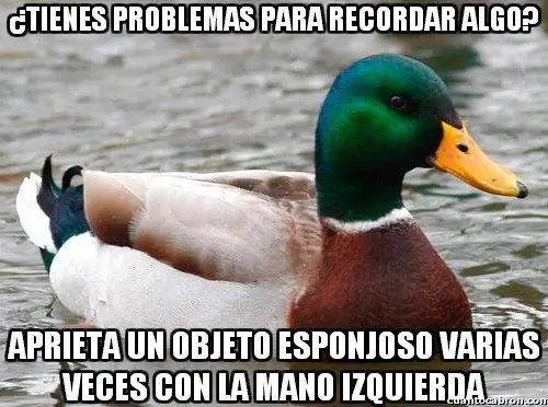 imagenes
