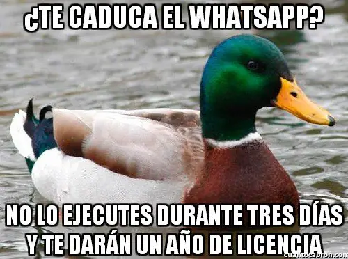 109 Consejos del Pato Consejero que te pueden servir
