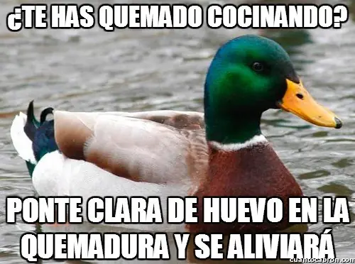 pato consejero