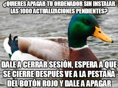 meme