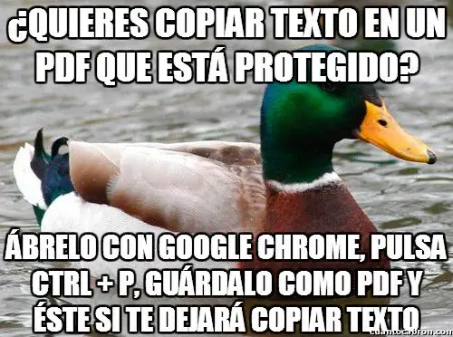 meme